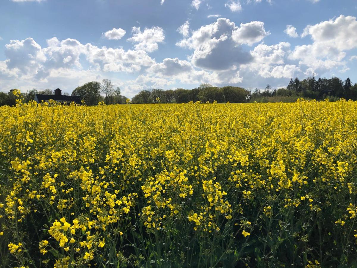 Modernes In Schöner Lage Apartment Düsseldorf