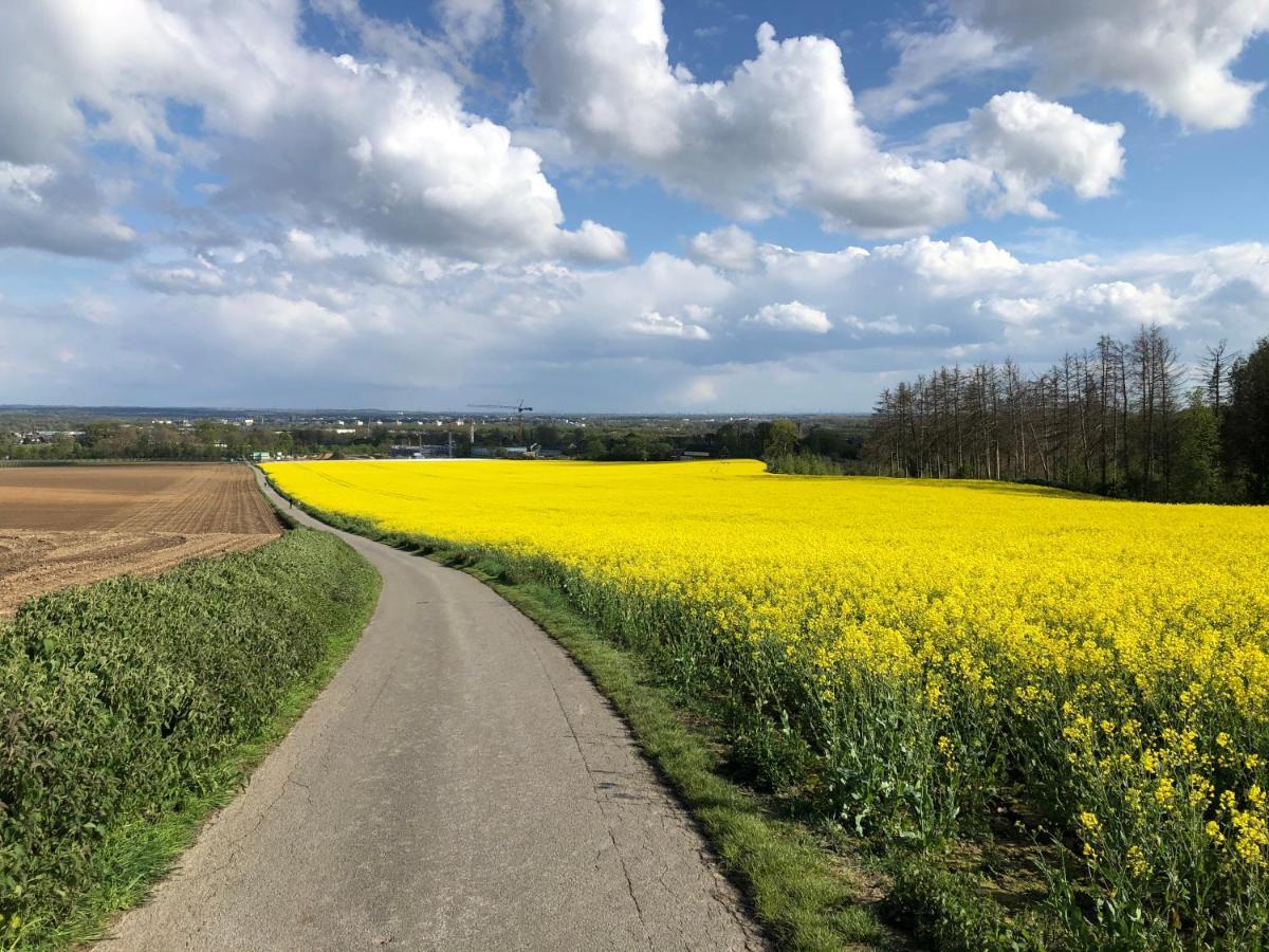 Modernes In Schöner Lage Apartment Düsseldorf